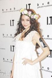angelababy 资料,Angelababy的璀璨星途