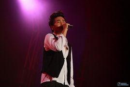 演唱会明星,演唱会明星巅峰之夜