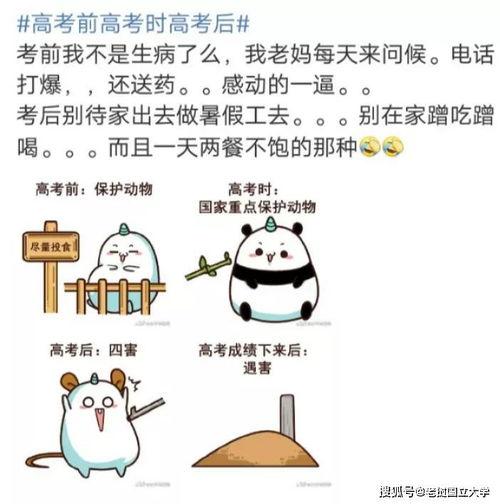 高考搞笑微博,微博上的欢乐时光