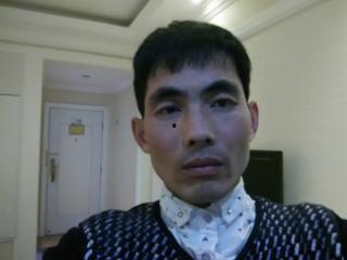 金哥图片,探寻图中的传奇魅力